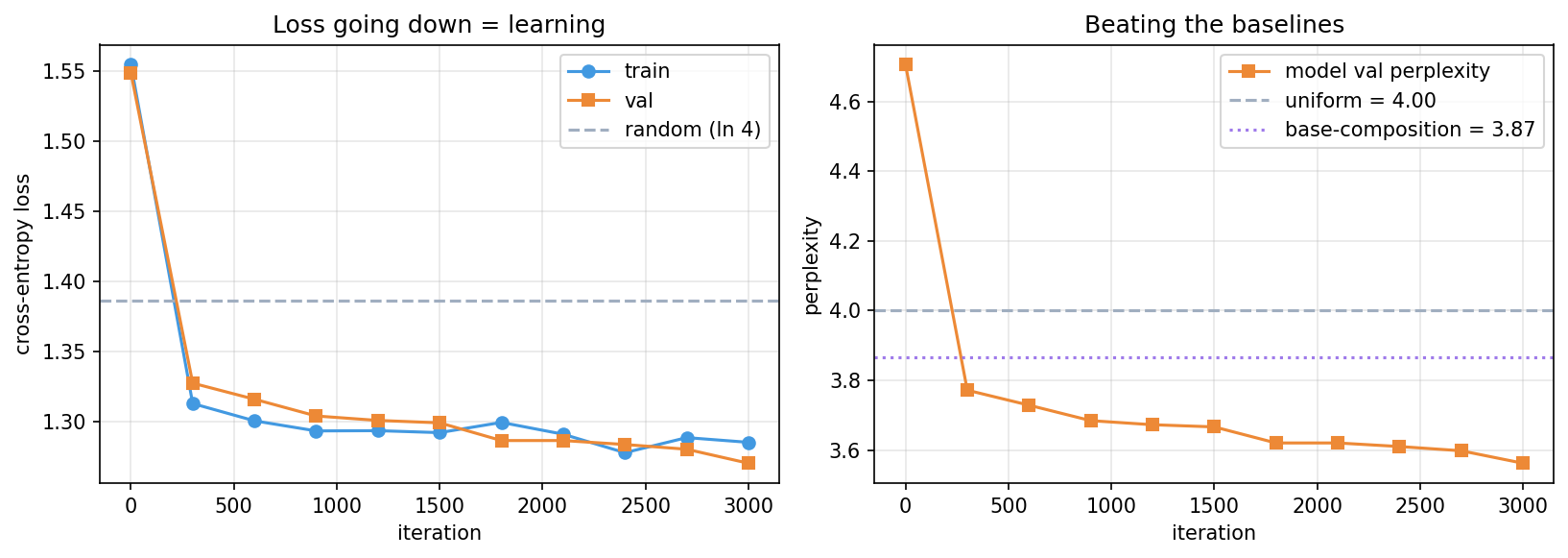 Loss and perplexity curves